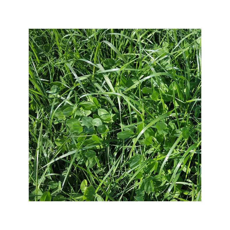 Mélange fourrager KALIMIX RT+