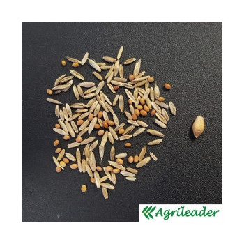 Mélange QUALI HERB'DUO