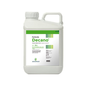 DECANO