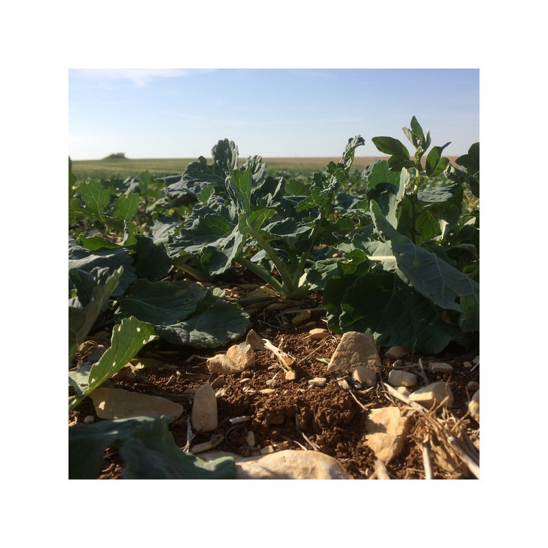 Mélange PARTNER ELITE