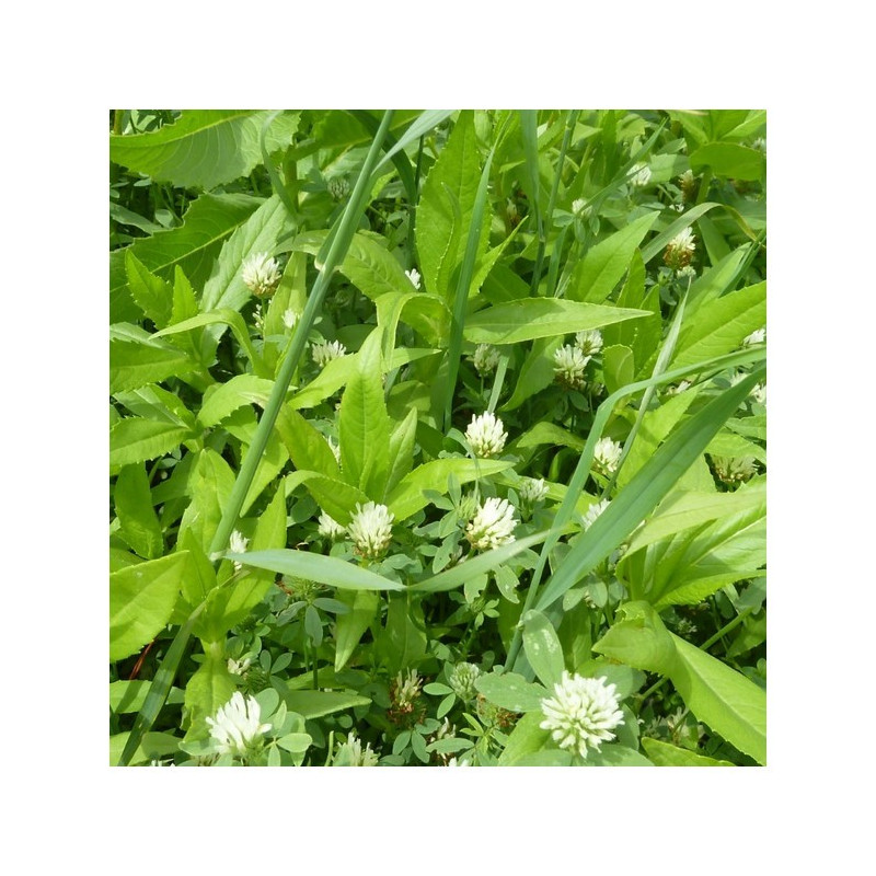 Mélange QUALI CIP'TRIOGEL