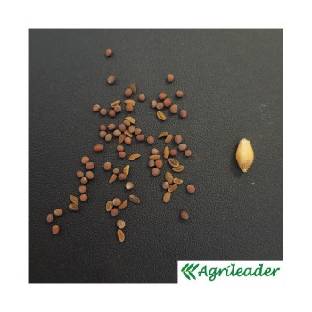 Mélange QUALI CIP'PROGEL