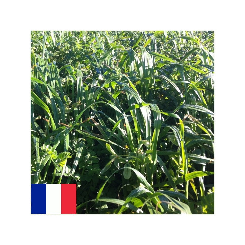 Mélange QUALI HERB' AUTOMNALE