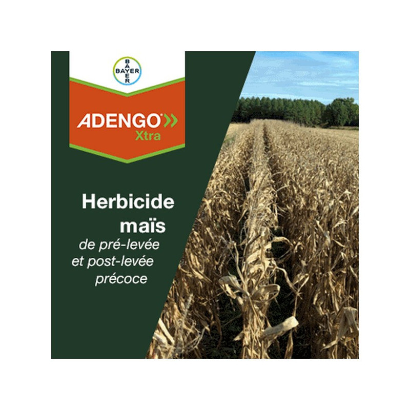ADENGO XTRA