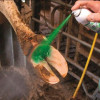 HOOF FIT SPRAY REPIDERMA