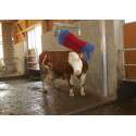 11771-Brosse de rechange pour Happycow MaxiSwing