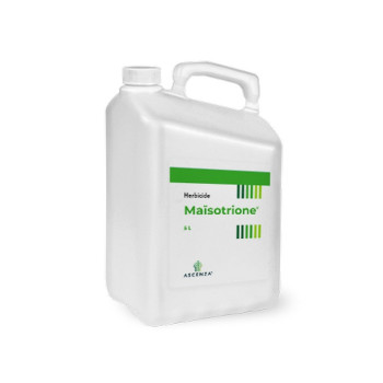 MAISOTRIONE