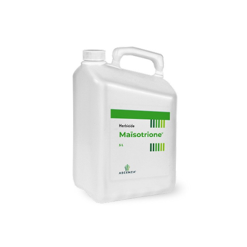 MAISOTRIONE