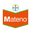 MATENO