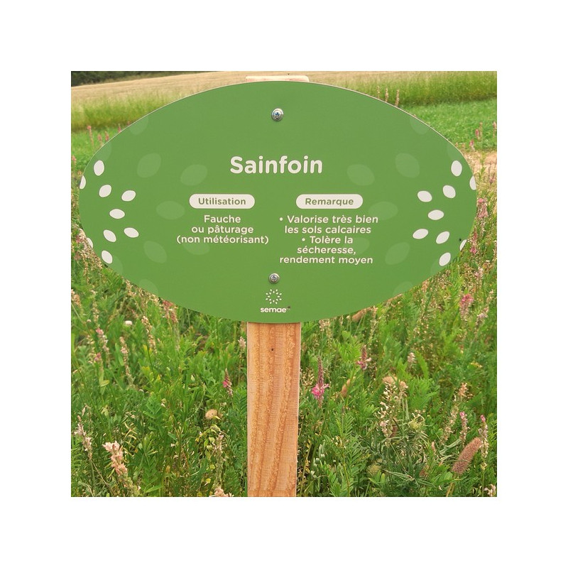 Sainfoin double en cosse - Bio