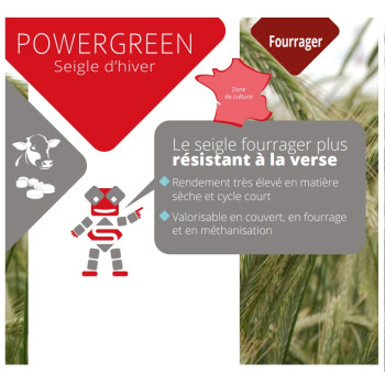 Seigle fourrager POWERGREEN