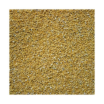 Moutarde blanche MARYNA - Sac 25 kg