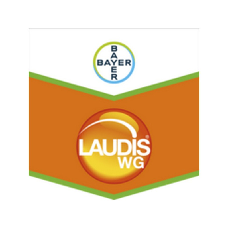 LAUDIS WG