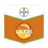 LAUDIS WG