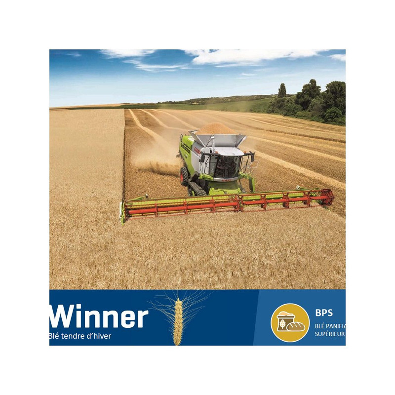 Blé WINNER