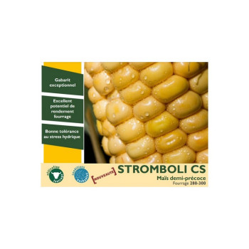Maïs STROMBOLI CS indice 280