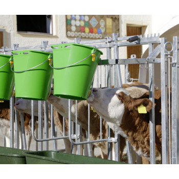 Séparateur pour mangeoire de niche collective