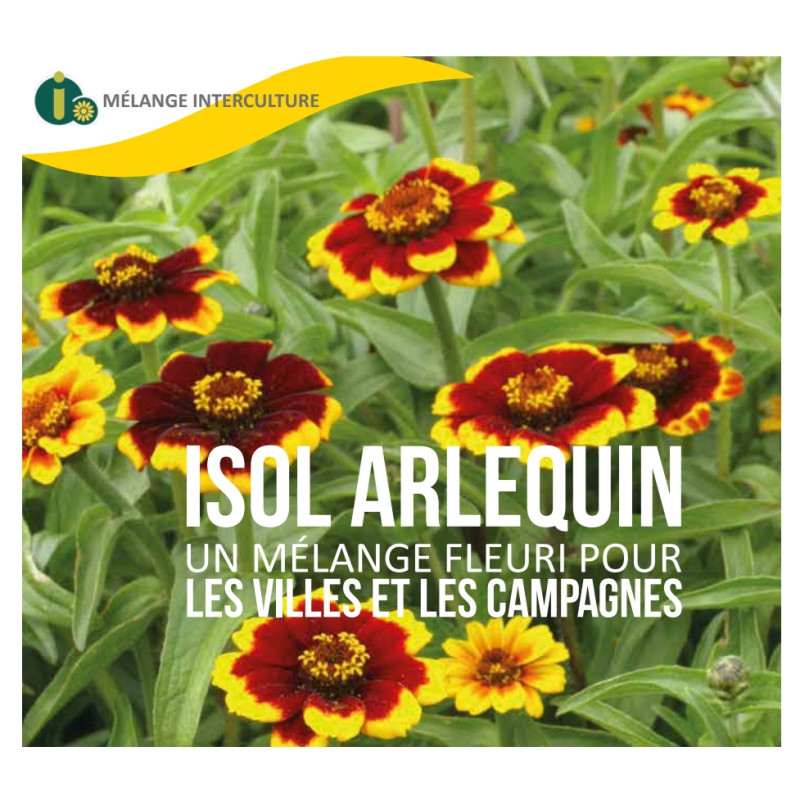 Mélange fleuri ISOL ARLEQUIN