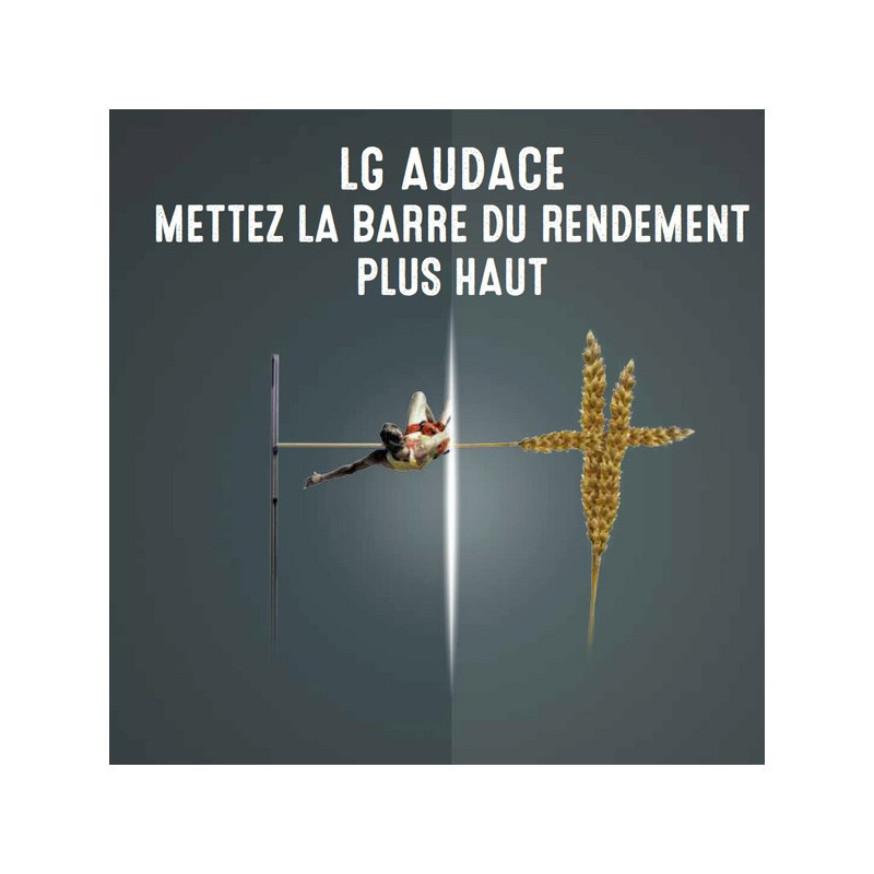 Blé LG AUDACE