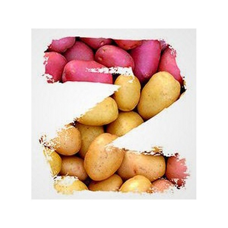 PACK ZORVEC ENICADE NTEC