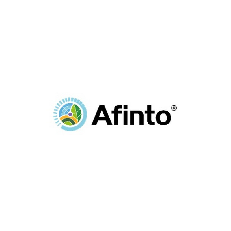 AFINTO