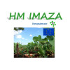 HM IMAZA