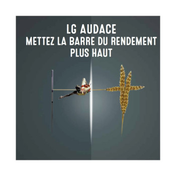 Blé LG AUDACE 