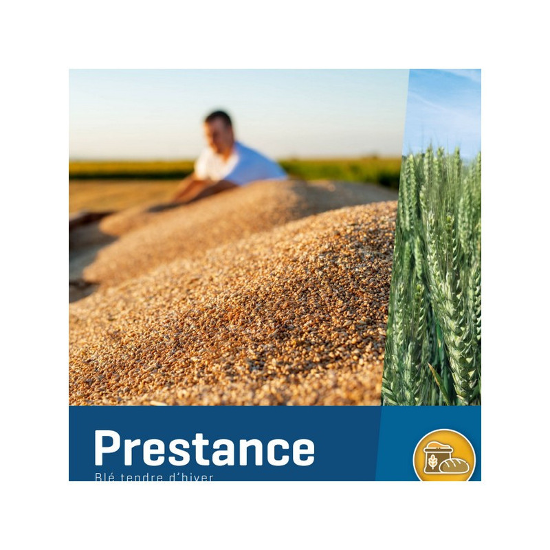 Blé PRESTANCE
