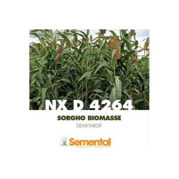 Sorgho Méthanisastion - NXD 4264