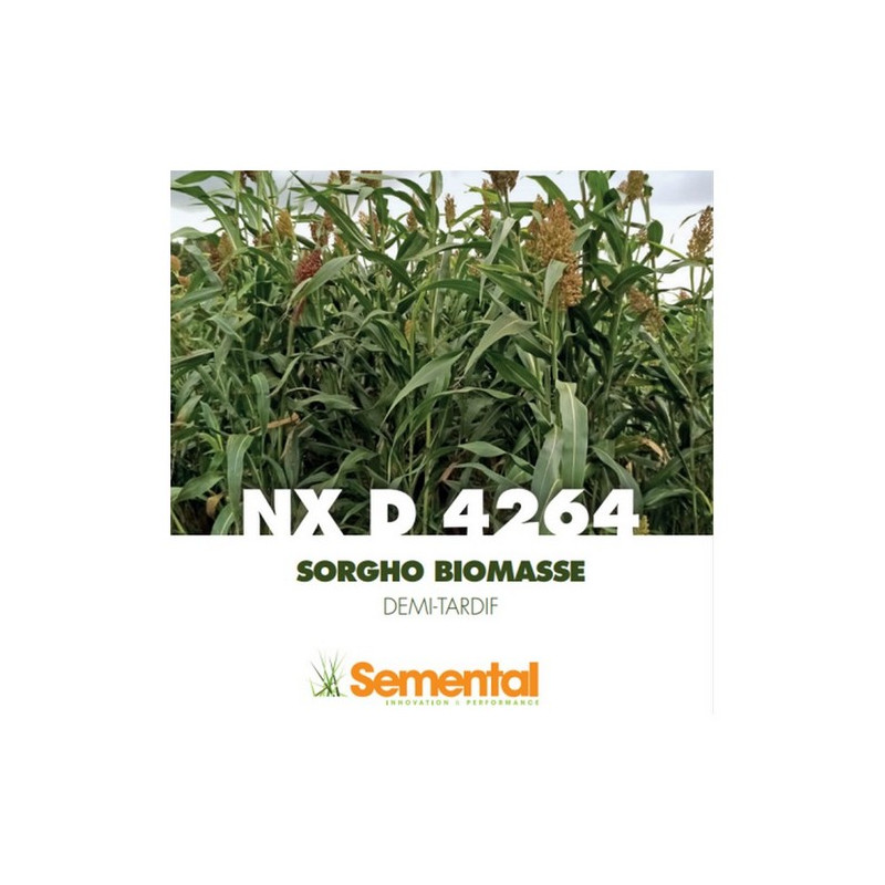 Sorgho Méthanisastion - NXD 4264