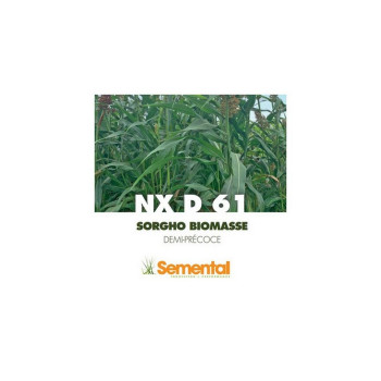 Sorgho Méthanisastion - NXD 61