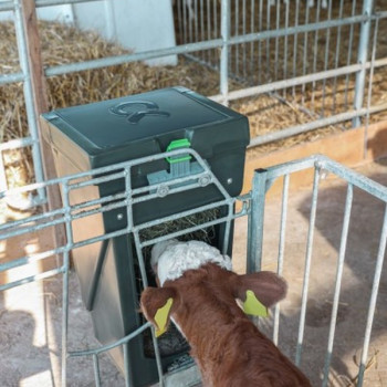 Mangeoire grand volume niche à veau