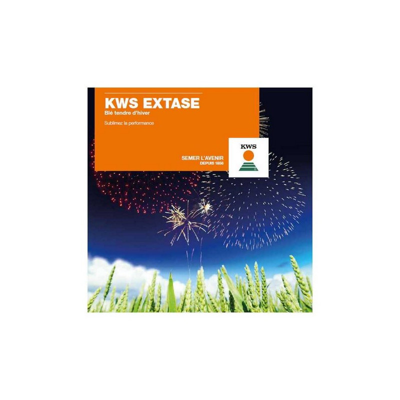 Blé KWS EXTASE