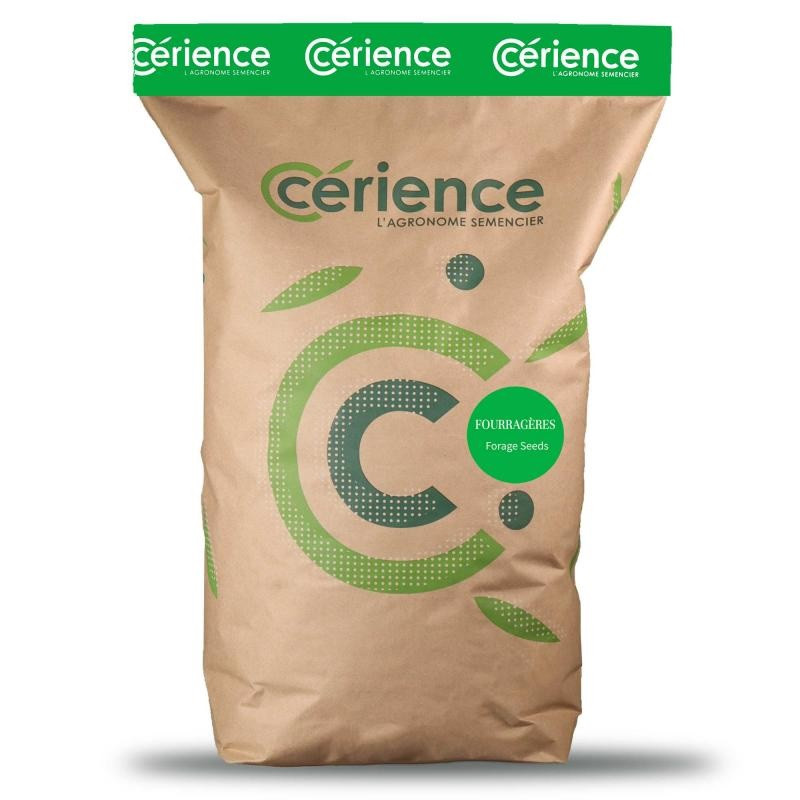 Trèfle incarnat VASCO