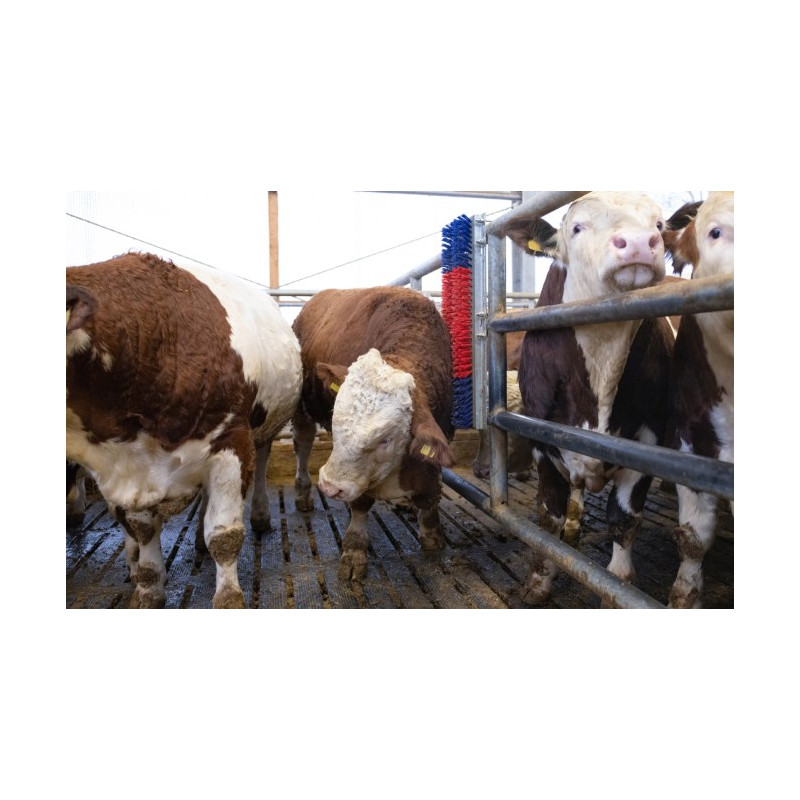 Brosse HAPPYCOW Bully