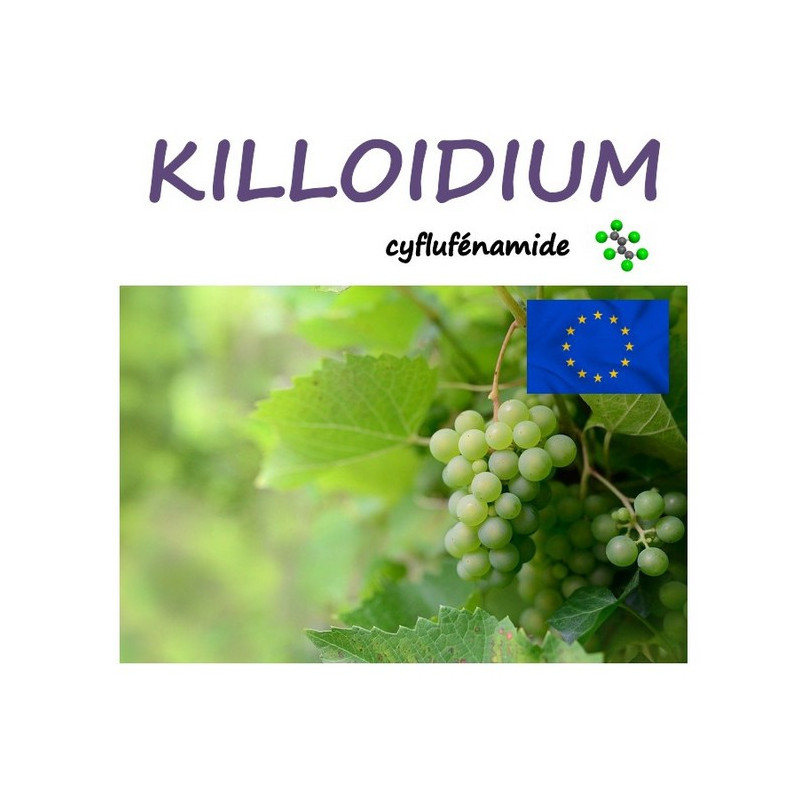 KILLOIDIUM