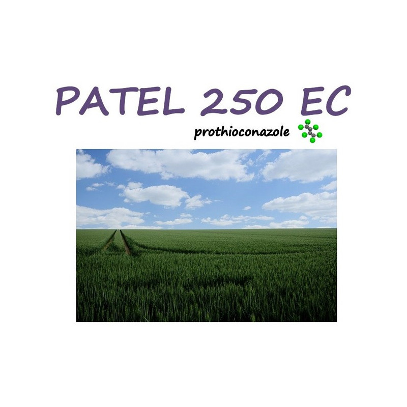 PATEL 250 EC