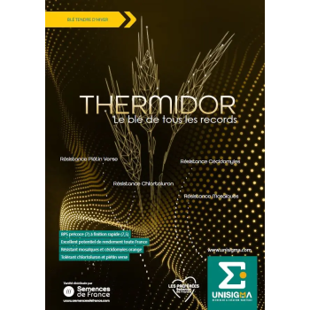 Blé THERMIDOR