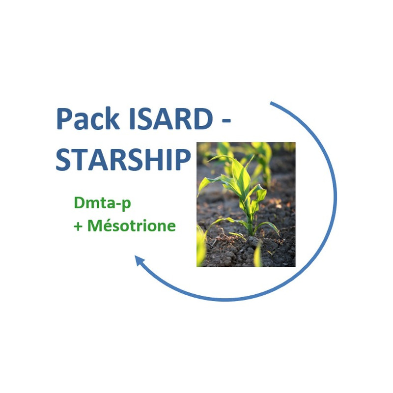 PACK ISARD + STARSHIP
