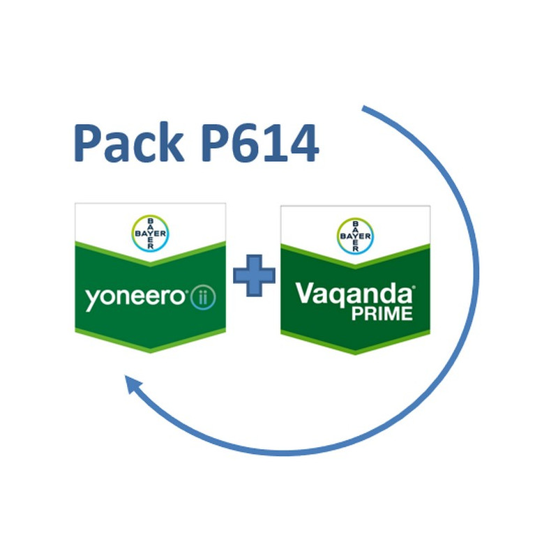 PACK P614 NEW YONEERO + VAQANDA PRIME