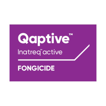 QAPTIVE