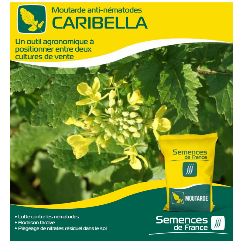 Moutarde blanche anti nématode CARIBELLA