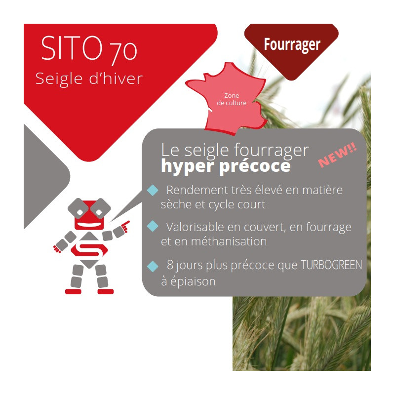 Seigle fourrager SITO 70