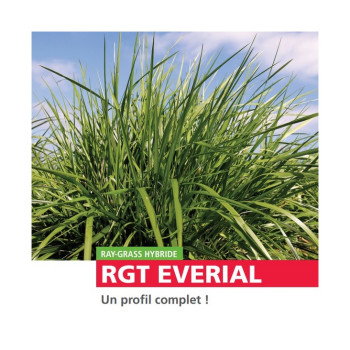 RGH 4N EVERIAL Bio, Ray-grass Hybride Bio