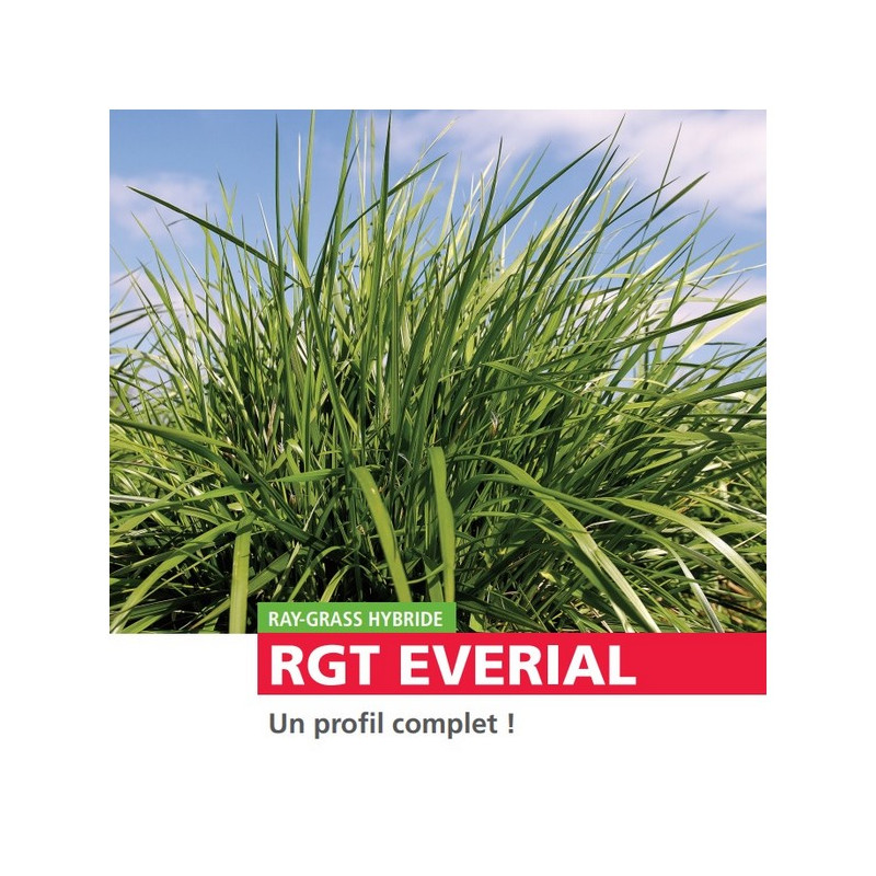 RGH 4N EVERIAL Bio, Ray-grass Hybride Bio