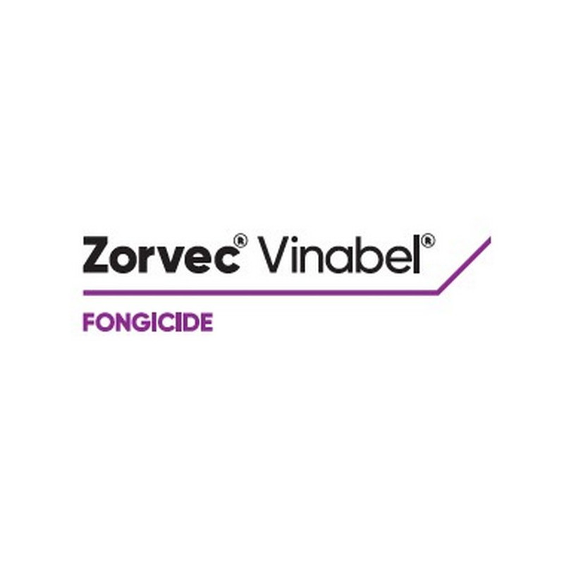 ZORVEC VINABEL