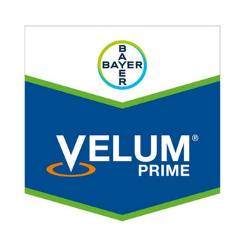 VELUM PRIME