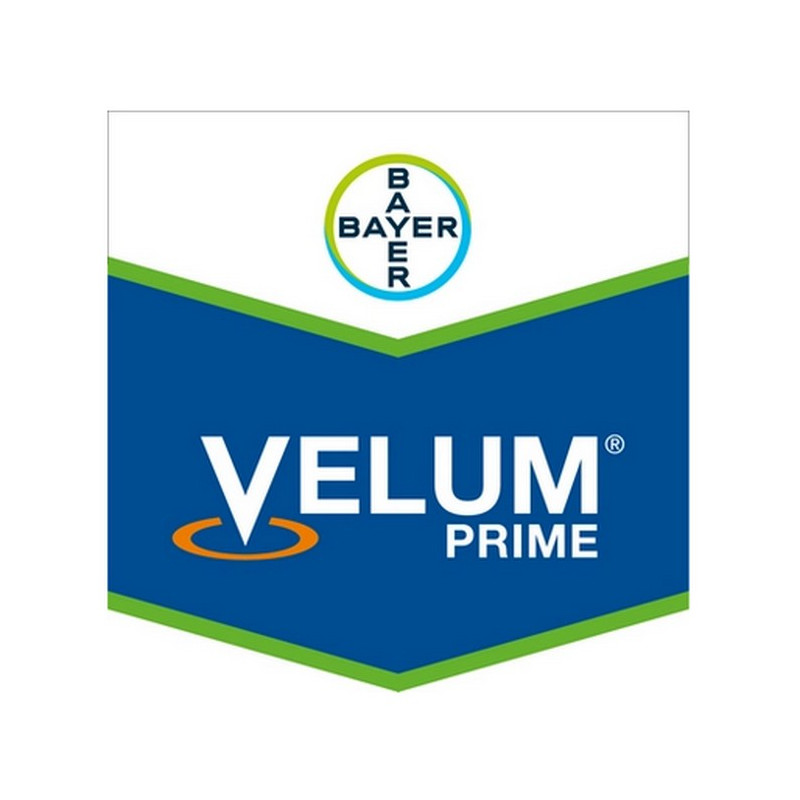VELUM PRIME