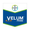 VELUM PRIME