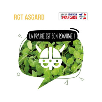 Trèfle blanc nain RGT ASGARD